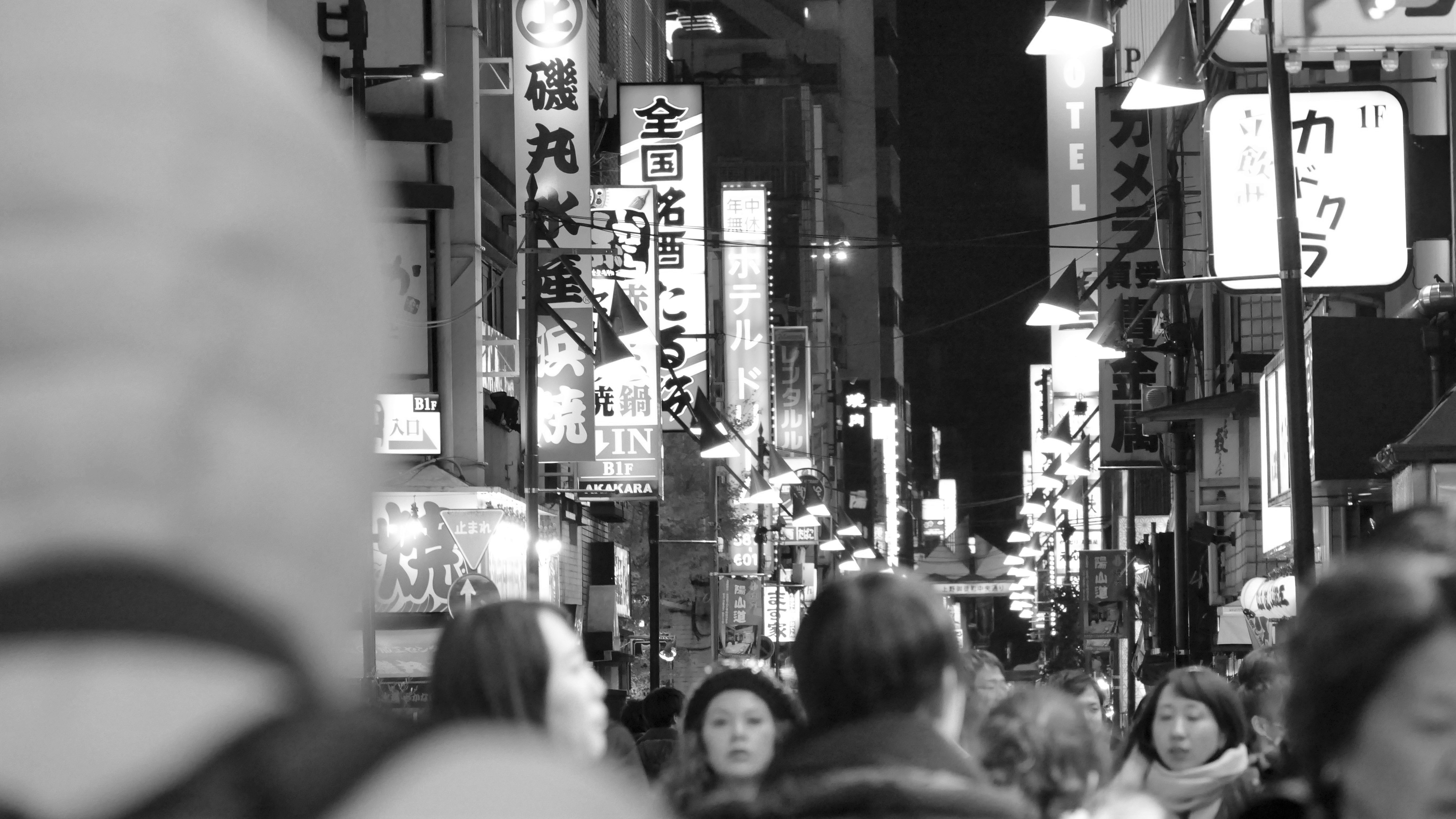 Japan Photo No. 5
