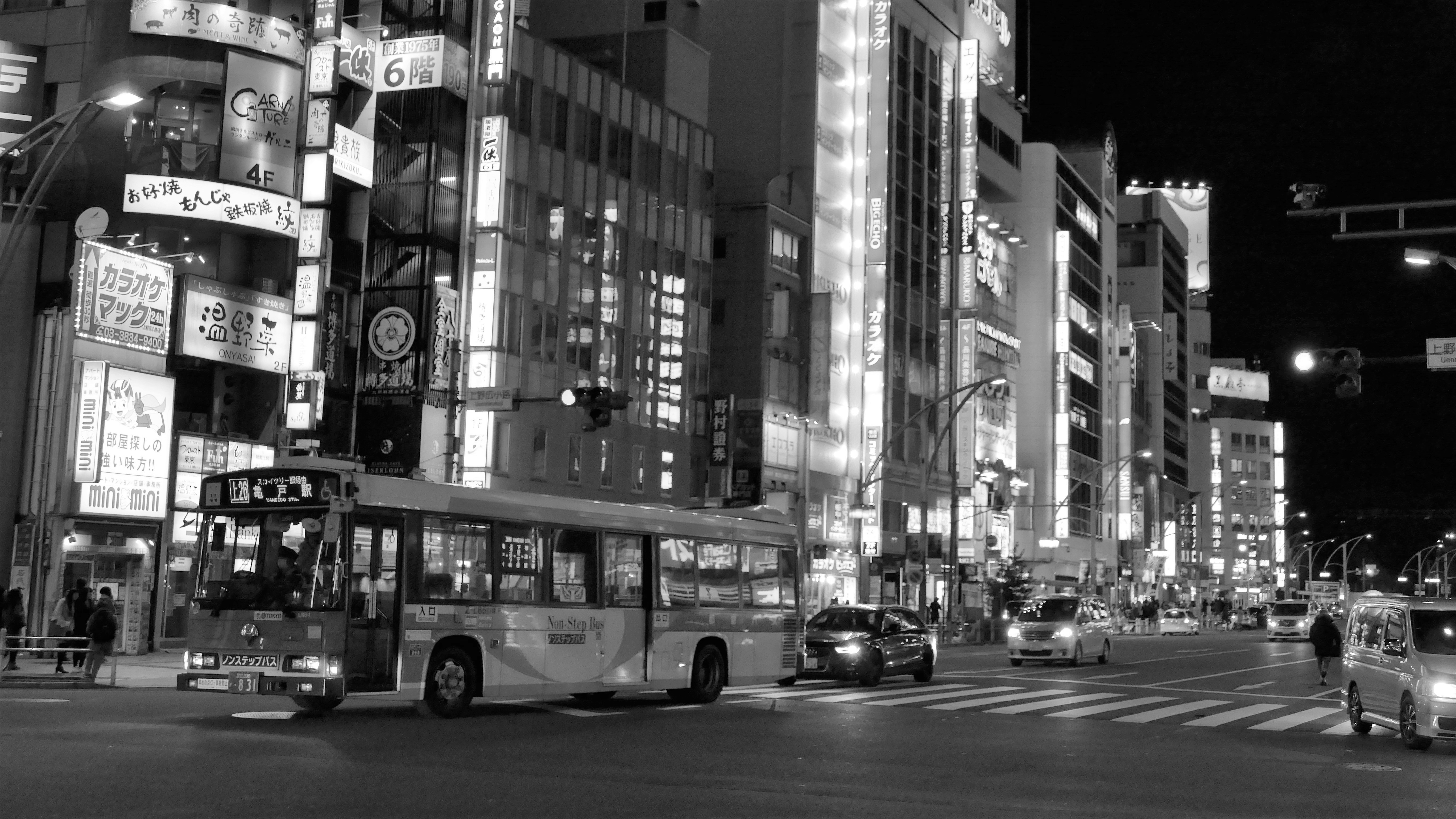 Japan Photo No. 8