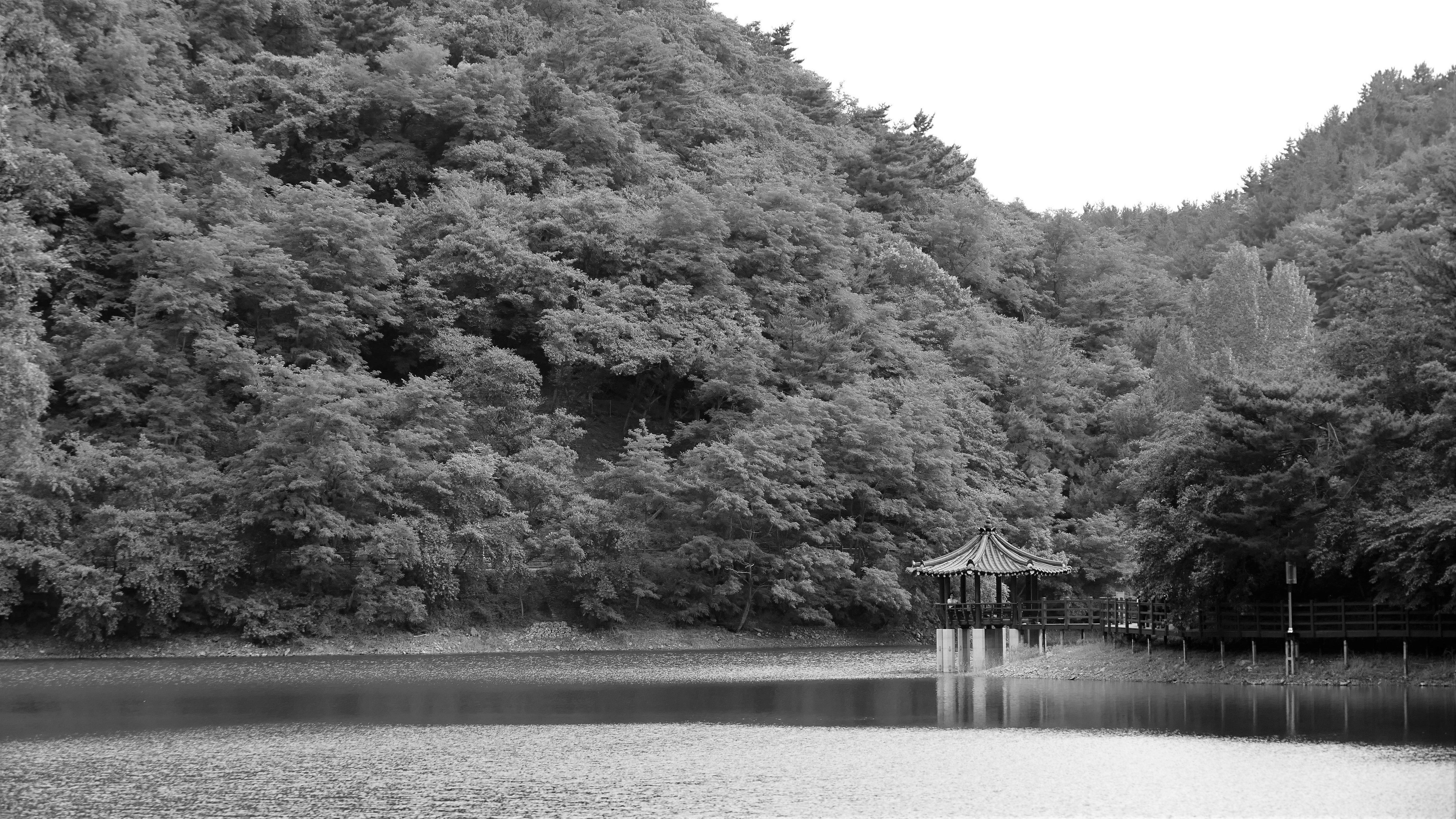 Korea Photo No. 8