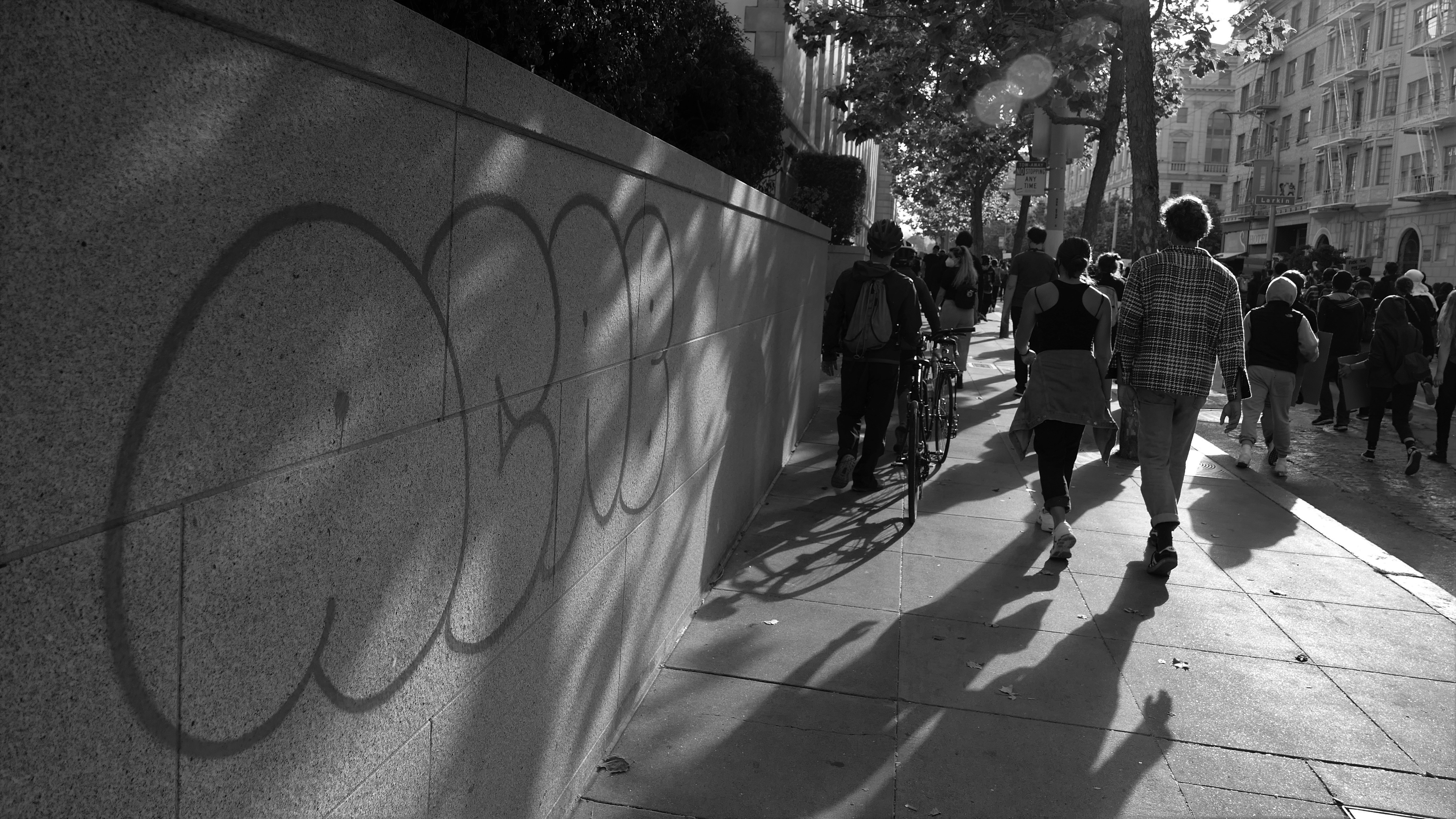 San Francisco Photo No. 7